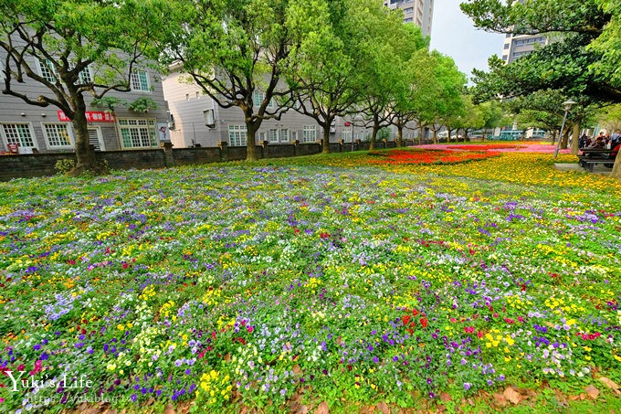 桃園親子景點【大溪埔頂公園】超美花海盛開×野餐好去處×大草皮溜滑梯×大溪老街順遊行程 - yuki.tw