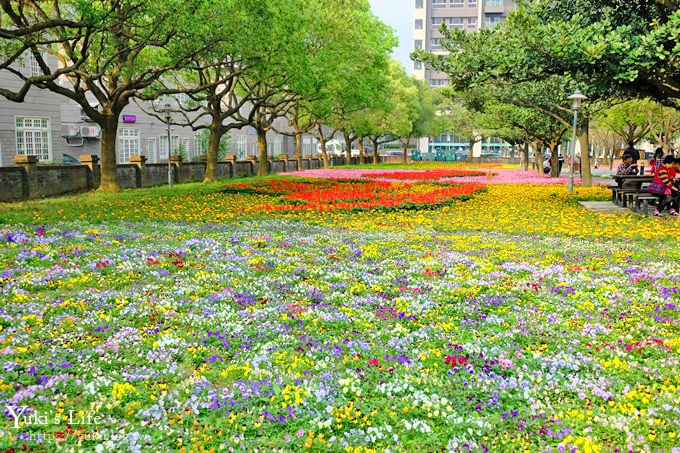 桃園親子景點【大溪埔頂公園】超美花海盛開×野餐好去處×大草皮溜滑梯×大溪老街順遊行程 - yuki.tw