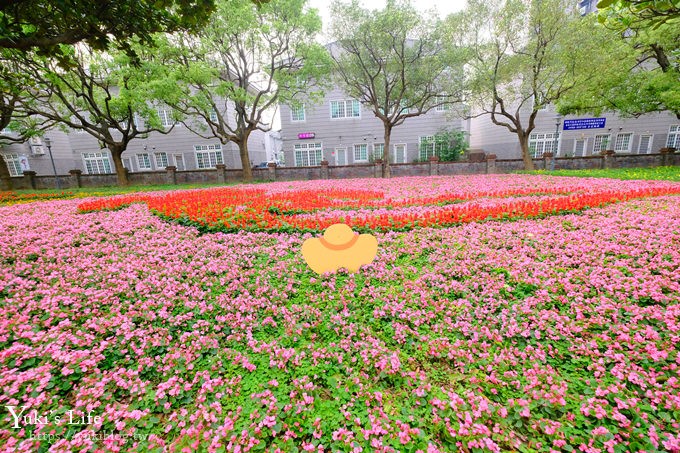 桃園親子景點【大溪埔頂公園】超美花海盛開×野餐好去處×大草皮溜滑梯×大溪老街順遊行程 - yuki.tw