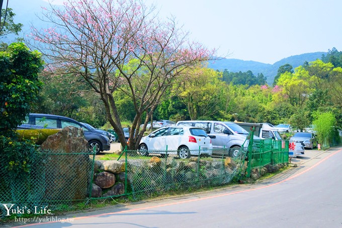 竹子湖海芋季推薦【苗榜海芋園】愛麗絲仙境花園餐廳×陽明山美食~家庭聚餐雞肉料理好好吃~ - yuki.tw