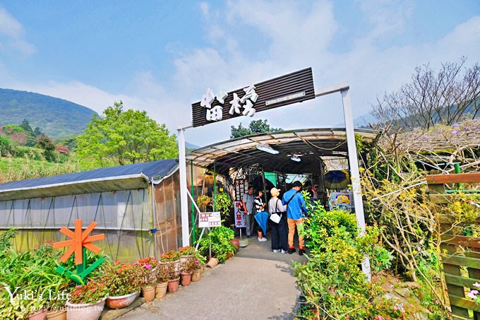 竹子湖海芋季推薦【苗榜海芋園】愛麗絲仙境花園餐廳×陽明山美食~家庭聚餐雞肉料理好好吃~ - yuki.tw