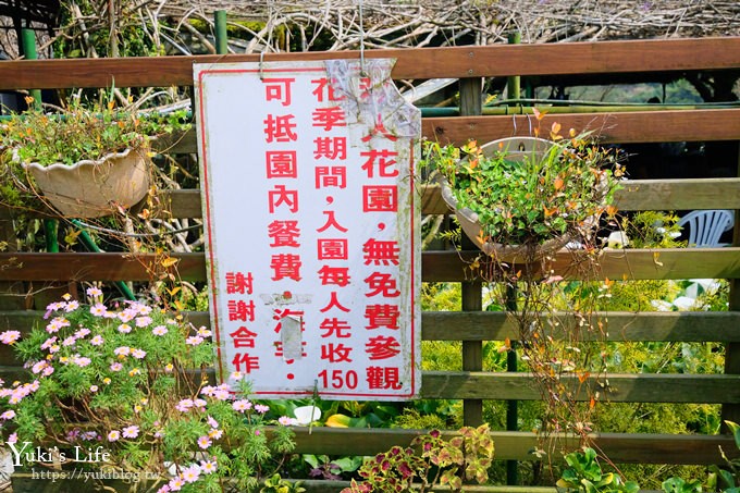 竹子湖海芋季推薦【苗榜海芋園】愛麗絲仙境花園餐廳×陽明山美食~家庭聚餐雞肉料理好好吃~ - yuki.tw