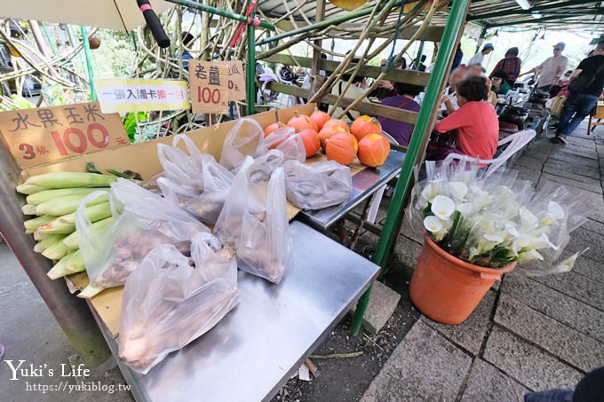 竹子湖海芋季推薦【苗榜海芋園】愛麗絲仙境花園餐廳×陽明山美食~家庭聚餐雞肉料理好好吃~ - yuki.tw