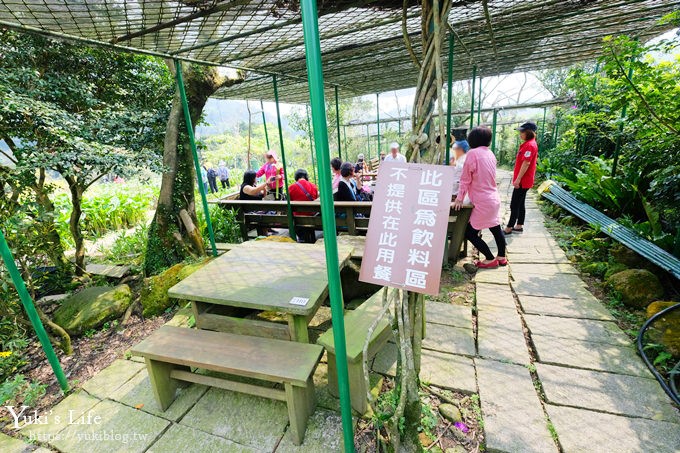 竹子湖海芋季推薦【苗榜海芋園】愛麗絲仙境花園餐廳×陽明山美食~家庭聚餐雞肉料理好好吃~ - yuki.tw