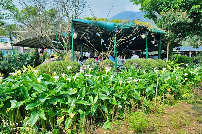 竹子湖海芋季推薦【苗榜海芋園】愛麗絲仙境花園餐廳×陽明山美食~家庭聚餐雞肉料理好好吃~ - yuki.tw