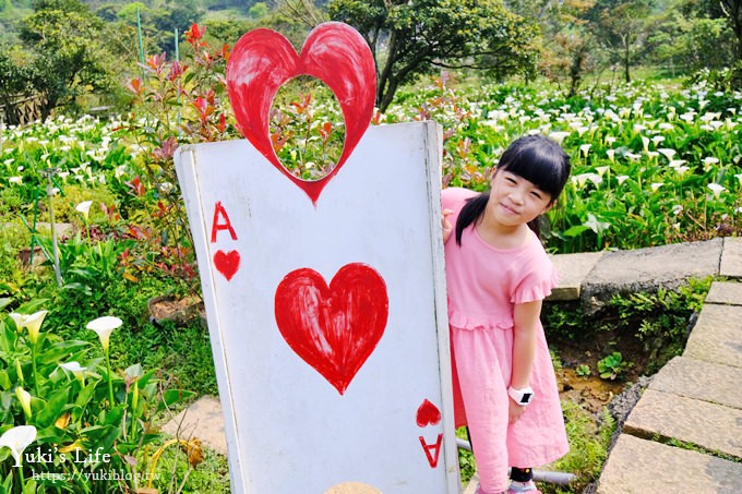 竹子湖海芋季推薦【苗榜海芋園】愛麗絲仙境花園餐廳×陽明山美食~家庭聚餐雞肉料理好好吃~ - yuki.tw