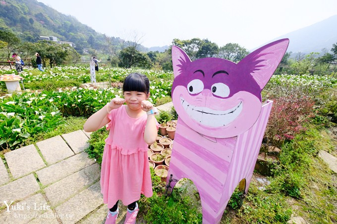 竹子湖海芋季推薦【苗榜海芋園】愛麗絲仙境花園餐廳×陽明山美食~家庭聚餐雞肉料理好好吃~ - yuki.tw