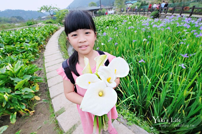 竹子湖海芋季推薦【苗榜海芋園】愛麗絲仙境花園餐廳×陽明山美食~家庭聚餐雞肉料理好好吃~ - yuki.tw