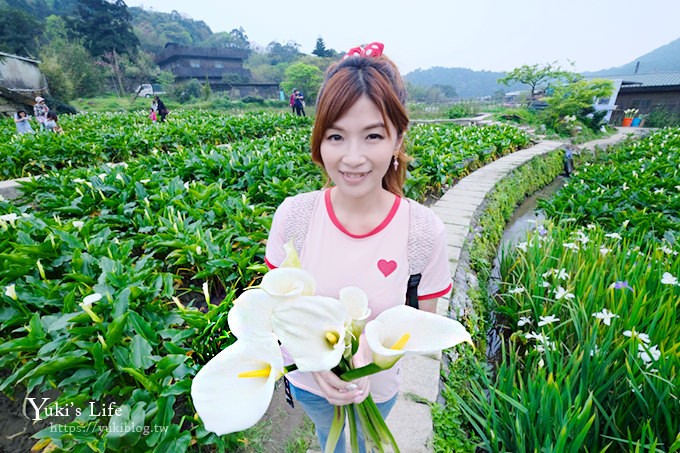 竹子湖海芋季推薦【苗榜海芋園】愛麗絲仙境花園餐廳×陽明山美食~家庭聚餐雞肉料理好好吃~ - yuki.tw