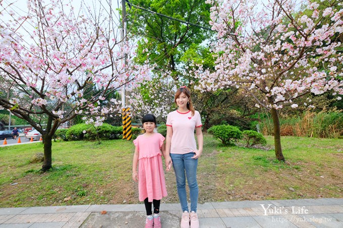 竹子湖海芋季推薦【苗榜海芋園】愛麗絲仙境花園餐廳×陽明山美食~家庭聚餐雞肉料理好好吃~ - yuki.tw