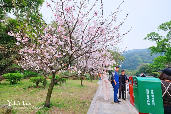 竹子湖海芋季推薦【苗榜海芋園】愛麗絲仙境花園餐廳×陽明山美食~家庭聚餐雞肉料理好好吃~ - yuki.tw