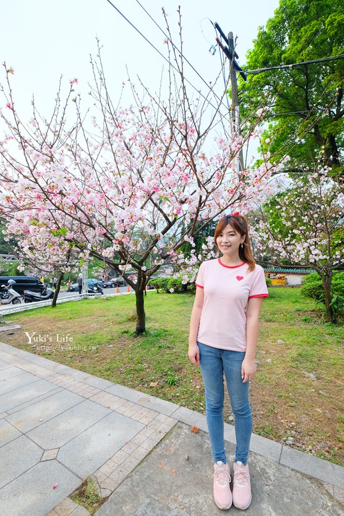 竹子湖海芋季推薦【苗榜海芋園】愛麗絲仙境花園餐廳×陽明山美食~家庭聚餐雞肉料理好好吃~ - yuki.tw