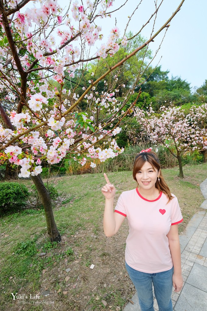 竹子湖海芋季推薦【苗榜海芋園】愛麗絲仙境花園餐廳×陽明山美食~家庭聚餐雞肉料理好好吃~ - yuki.tw