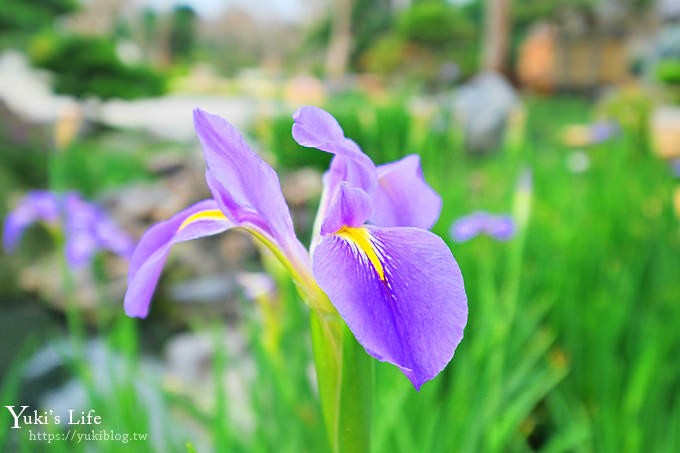 彰化田尾新景點【台灣銘園庭園美術館】禪意景觀庭園×造型景觀石免費參觀 - yuki.tw