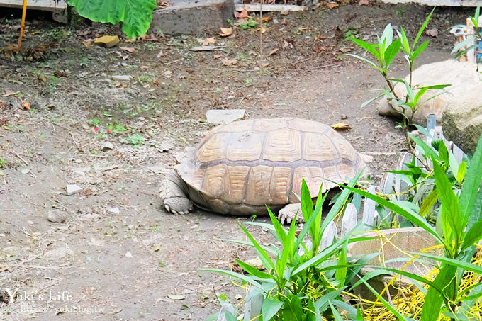 彰化親子景點【田中窯創藝園區】巨型無敵鐵金鋼超吸睛×吹泡泡×陶藝景觀餐廳吃窯烤PIZZA - yuki.tw