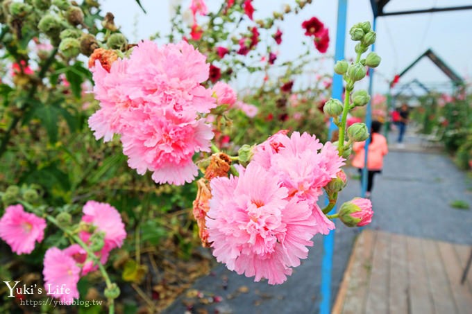 彰化親子景點【田中窯創藝園區】巨型無敵鐵金鋼超吸睛×吹泡泡×陶藝景觀餐廳吃窯烤PIZZA - yuki.tw