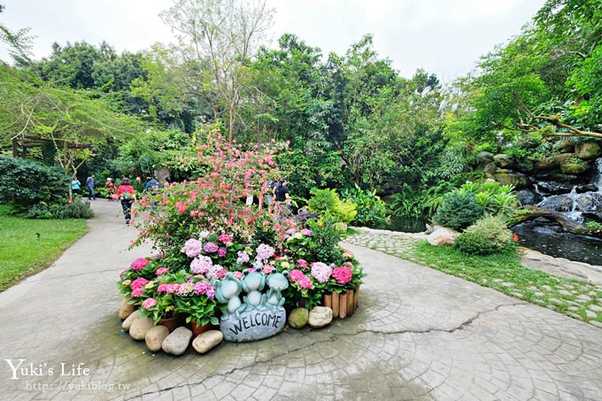 苗栗親子景點【花露休閒農場】繡球花季×玻璃花屋新登場~夢幻雨林景觀餐廳超浪漫 - yuki.tw