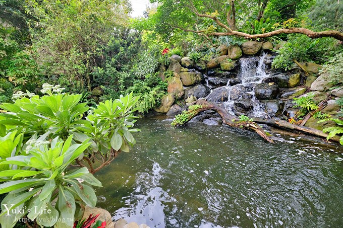 苗栗親子景點【花露休閒農場】繡球花季×玻璃花屋新登場~夢幻雨林景觀餐廳超浪漫 - yuki.tw