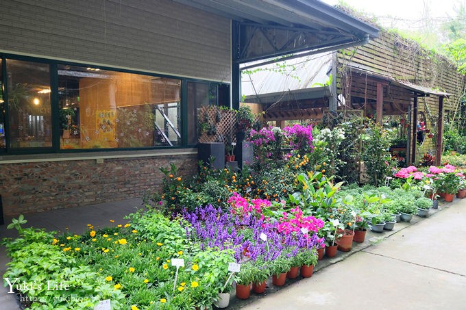 苗栗親子景點【花露休閒農場】繡球花季×玻璃花屋新登場~夢幻雨林景觀餐廳超浪漫 - yuki.tw