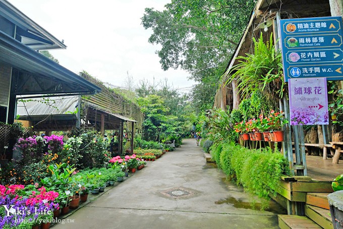 苗栗親子景點【花露休閒農場】繡球花季×玻璃花屋新登場~夢幻雨林景觀餐廳超浪漫 - yuki.tw