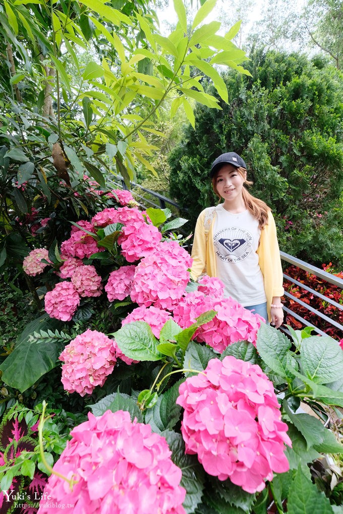 苗栗親子景點【花露休閒農場】繡球花季×玻璃花屋新登場~夢幻雨林景觀餐廳超浪漫 - yuki.tw