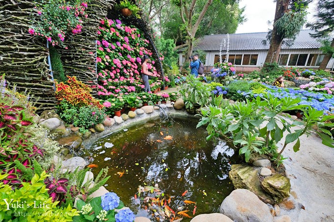 苗栗親子景點【花露休閒農場】繡球花季×玻璃花屋新登場~夢幻雨林景觀餐廳超浪漫 - yuki.tw