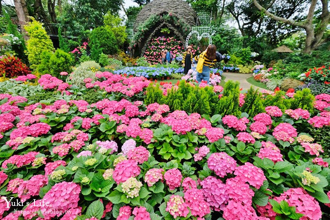 苗栗親子景點【花露休閒農場】繡球花季×玻璃花屋新登場~夢幻雨林景觀餐廳超浪漫 - yuki.tw