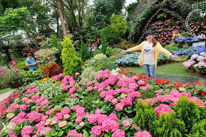 苗栗親子景點【花露休閒農場】繡球花季×玻璃花屋新登場~夢幻雨林景觀餐廳超浪漫 - yuki.tw