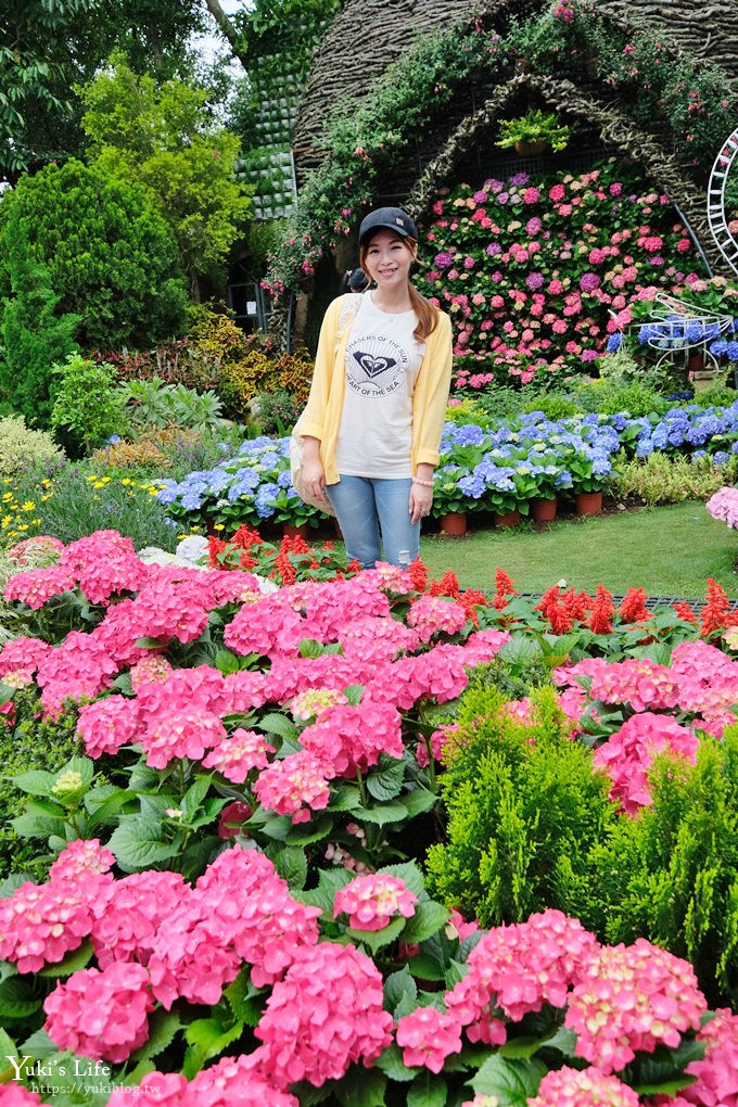 苗栗親子景點【花露休閒農場】繡球花季×玻璃花屋新登場~夢幻雨林景觀餐廳超浪漫 - yuki.tw