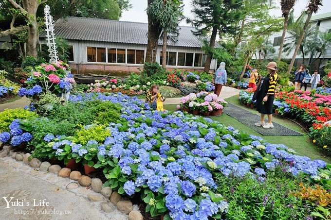 苗栗親子景點【花露休閒農場】繡球花季×玻璃花屋新登場~夢幻雨林景觀餐廳超浪漫 - yuki.tw