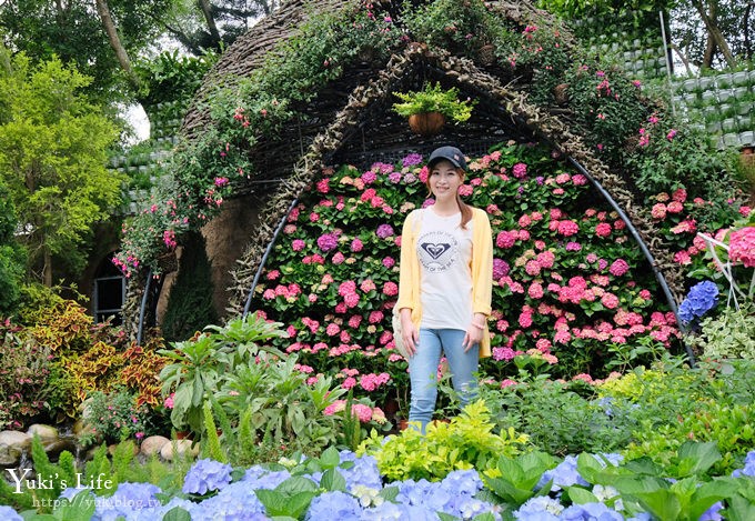 苗栗親子景點【花露休閒農場】繡球花季×玻璃花屋新登場~夢幻雨林景觀餐廳超浪漫 - yuki.tw