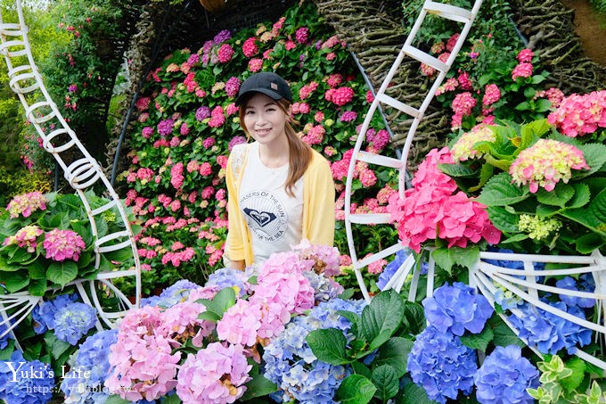 苗栗親子景點【花露休閒農場】繡球花季×玻璃花屋新登場~夢幻雨林景觀餐廳超浪漫 - yuki.tw