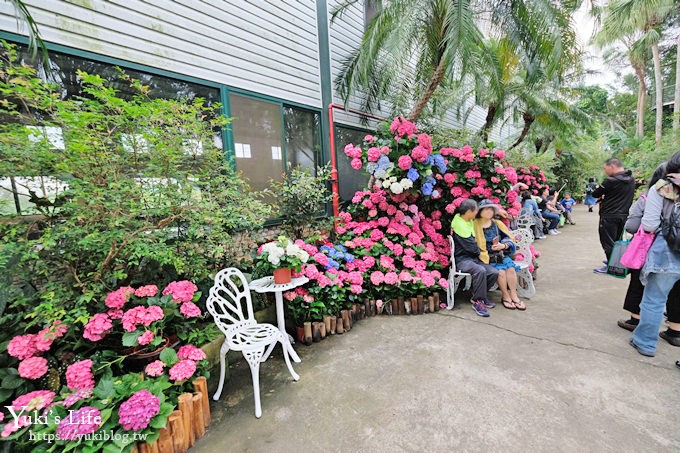 苗栗親子景點【花露休閒農場】繡球花季×玻璃花屋新登場~夢幻雨林景觀餐廳超浪漫 - yuki.tw