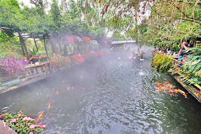 苗栗親子景點【花露休閒農場】繡球花季×玻璃花屋新登場~夢幻雨林景觀餐廳超浪漫 - yuki.tw