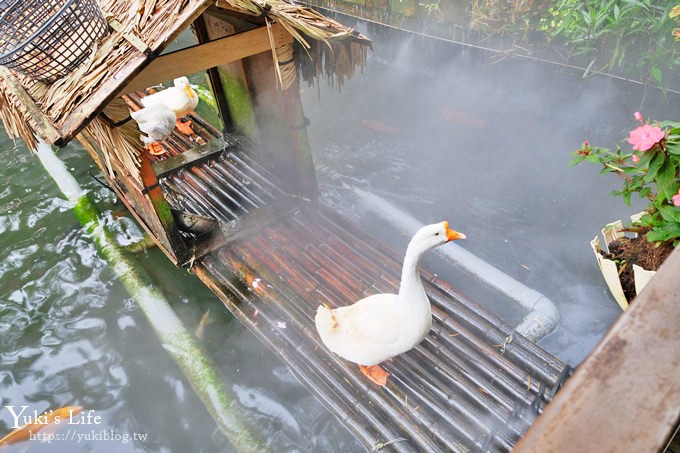 苗栗親子景點【花露休閒農場】繡球花季×玻璃花屋新登場~夢幻雨林景觀餐廳超浪漫 - yuki.tw