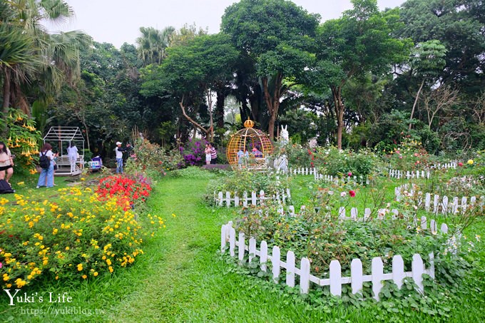 苗栗親子景點【花露休閒農場】繡球花季×玻璃花屋新登場~夢幻雨林景觀餐廳超浪漫 - yuki.tw