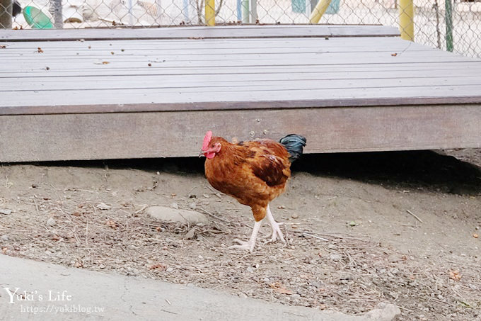 台南親子一日遊【樹谷園區】樹谷生活科學館、農場餵動物、懷舊刈稻飯～吃喝玩樂通通有！ - yuki.tw