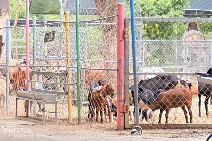 台南親子一日遊【樹谷園區】樹谷生活科學館、農場餵動物、懷舊刈稻飯～吃喝玩樂通通有！ - yuki.tw