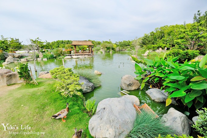 雲林景點【澄霖沉香味道森林館】愛心造景水池落羽松秘境×鴨鴨好多還能玩沙親子好去處 - yuki.tw