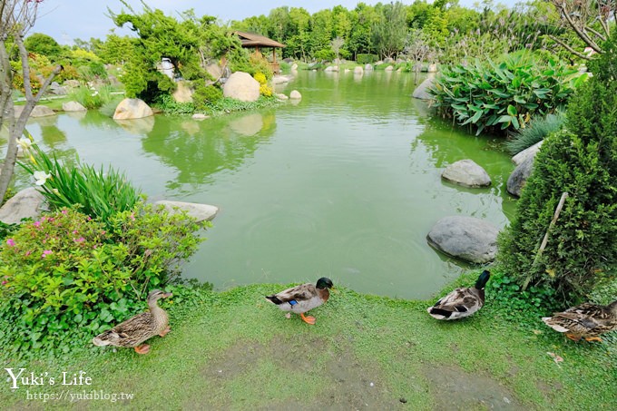 雲林景點【澄霖沉香味道森林館】愛心造景水池落羽松秘境×鴨鴨好多還能玩沙親子好去處 - yuki.tw