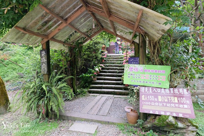 苗栗景點【碧絡角花園咖啡】蘑菇屋繡球花步道也太夢幻×南庄賞花下午茶親子好去處 - yuki.tw