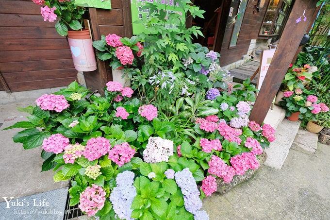 苗栗景點【碧絡角花園咖啡】蘑菇屋繡球花步道也太夢幻×南庄賞花下午茶親子好去處 - yuki.tw