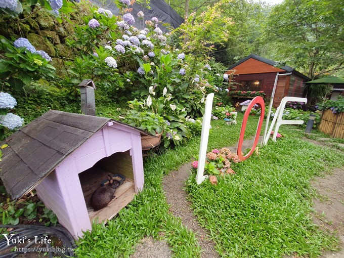 苗栗景點【碧絡角花園咖啡】蘑菇屋繡球花步道也太夢幻×南庄賞花下午茶親子好去處 - yuki.tw