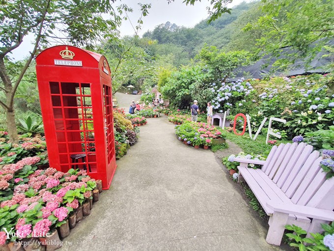 苗栗景點【碧絡角花園咖啡】蘑菇屋繡球花步道也太夢幻×南庄賞花下午茶親子好去處 - yuki.tw