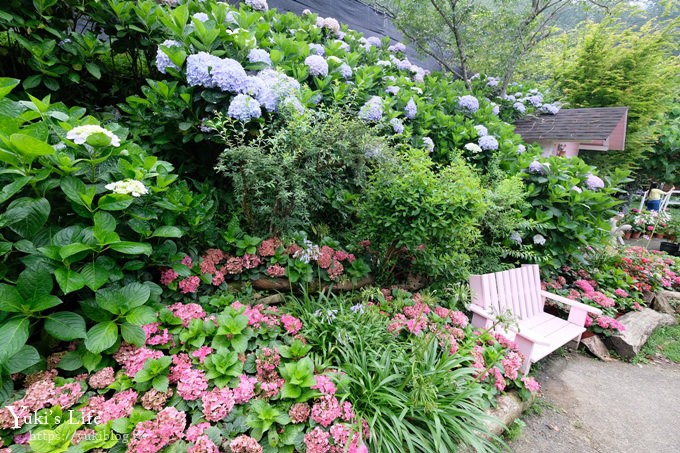 苗栗景點【碧絡角花園咖啡】蘑菇屋繡球花步道也太夢幻×南庄賞花下午茶親子好去處 - yuki.tw