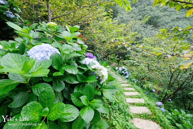 苗栗景點【碧絡角花園咖啡】蘑菇屋繡球花步道也太夢幻×南庄賞花下午茶親子好去處 - yuki.tw