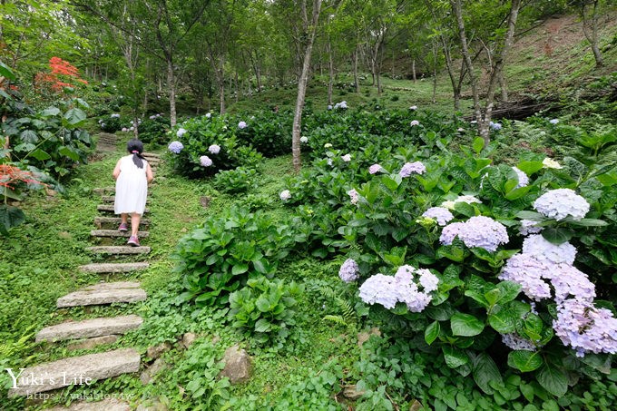 苗栗景點【碧絡角花園咖啡】蘑菇屋繡球花步道也太夢幻×南庄賞花下午茶親子好去處 - yuki.tw