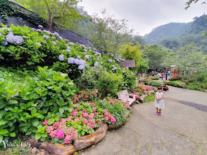 苗栗景點【碧絡角花園咖啡】蘑菇屋繡球花步道也太夢幻×南庄賞花下午茶親子好去處 - yuki.tw