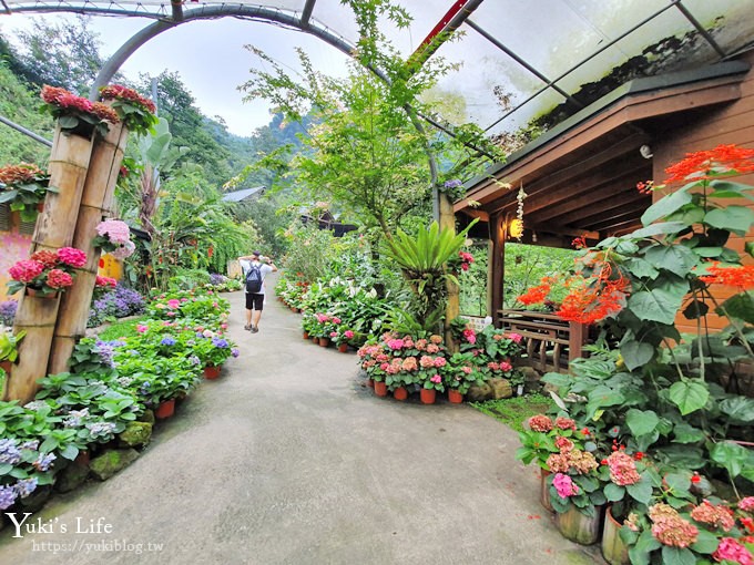 苗栗景點【碧絡角花園咖啡】蘑菇屋繡球花步道也太夢幻×南庄賞花下午茶親子好去處 - yuki.tw