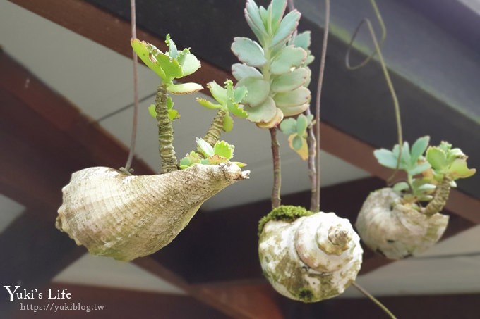 苗栗景點【碧絡角花園咖啡】蘑菇屋繡球花步道也太夢幻×南庄賞花下午茶親子好去處 - yuki.tw